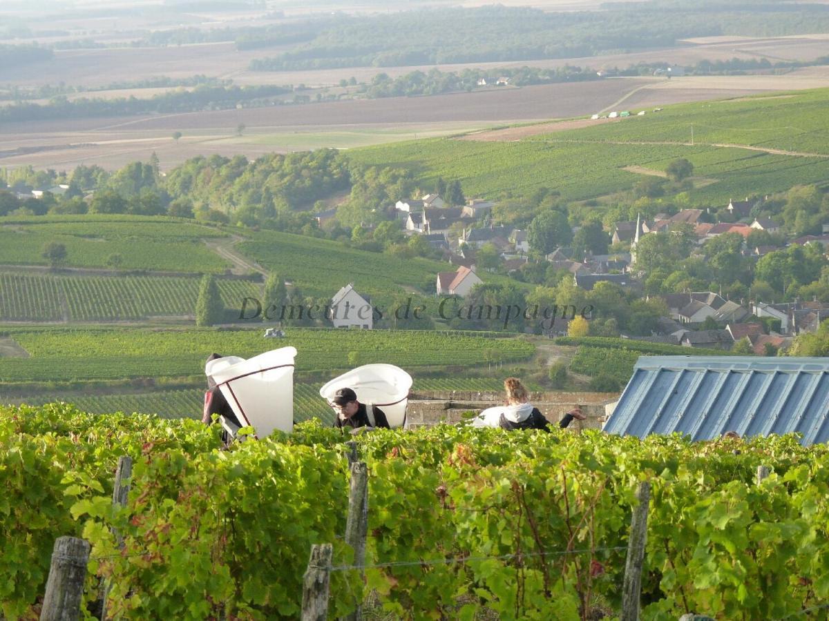 Maison Les Fossiles Villa Sancerre Exterior photo